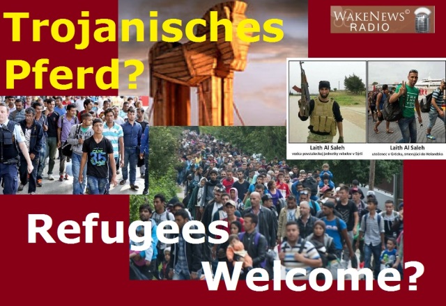 Trojanische Pferd - Refugees Welcome